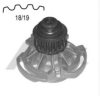 VW 031121005CX Water Pump